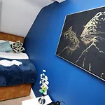 Sleek And Stylish 2 Bed In Clifton - Garden *