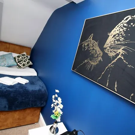 Sleek And Stylish 2 Bed In Clifton - Garden *